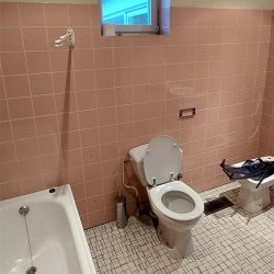 toilet